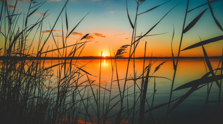 Teologia e Espiritualidade da Libertação: o Cuidado com a Criação na Dinâmica do Reino de Deus